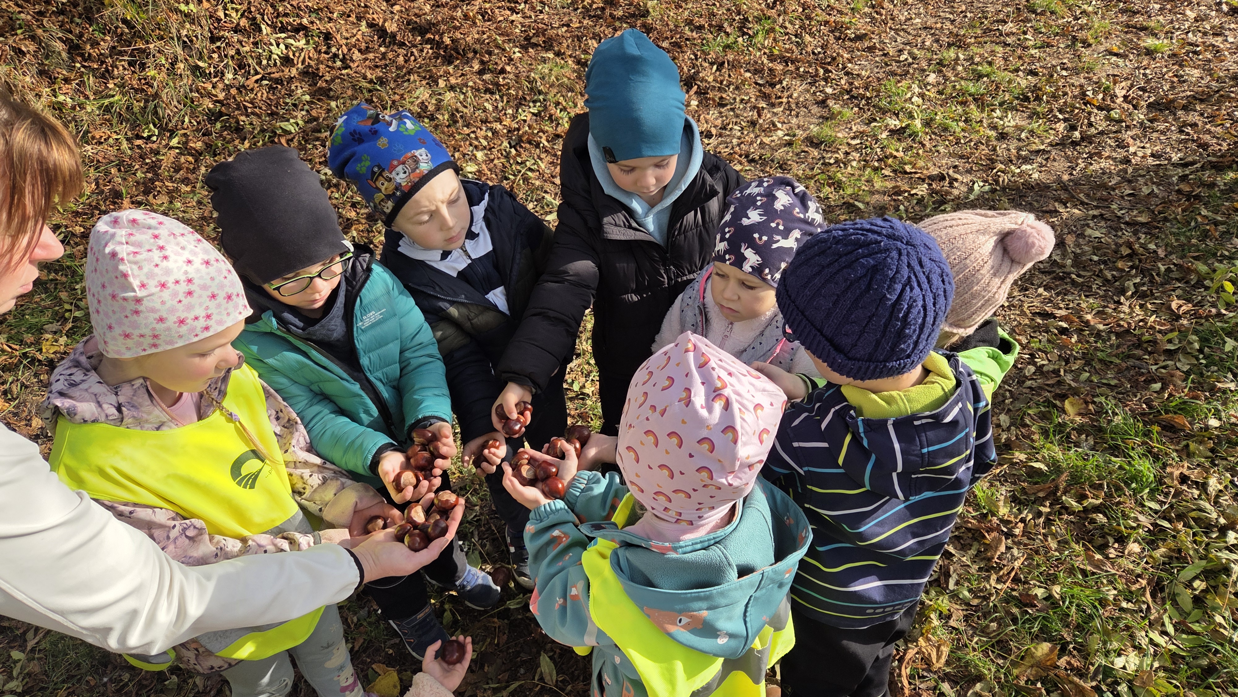 Moje-telo-a-vitaminy-v-nem-5 Moje-telo-a-vitaminy-v-nem-5