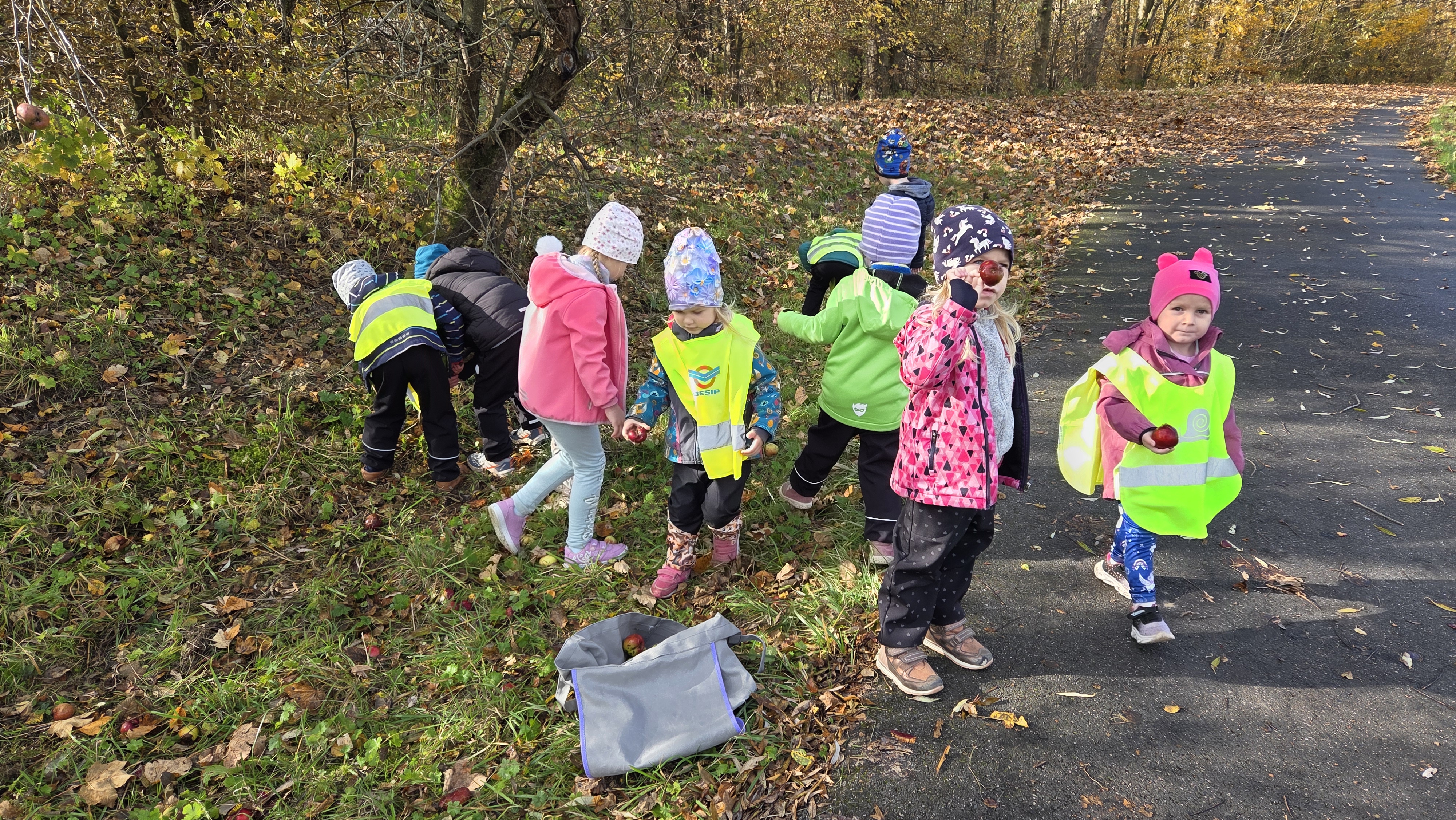 Moje-telo-a-vitaminy-v-nem-7 Moje-telo-a-vitaminy-v-nem-7