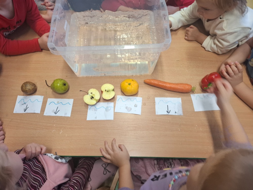 Pokus-co-plave-a-co-klesne-2 Pokus-co-plave-a-co-klesne-2