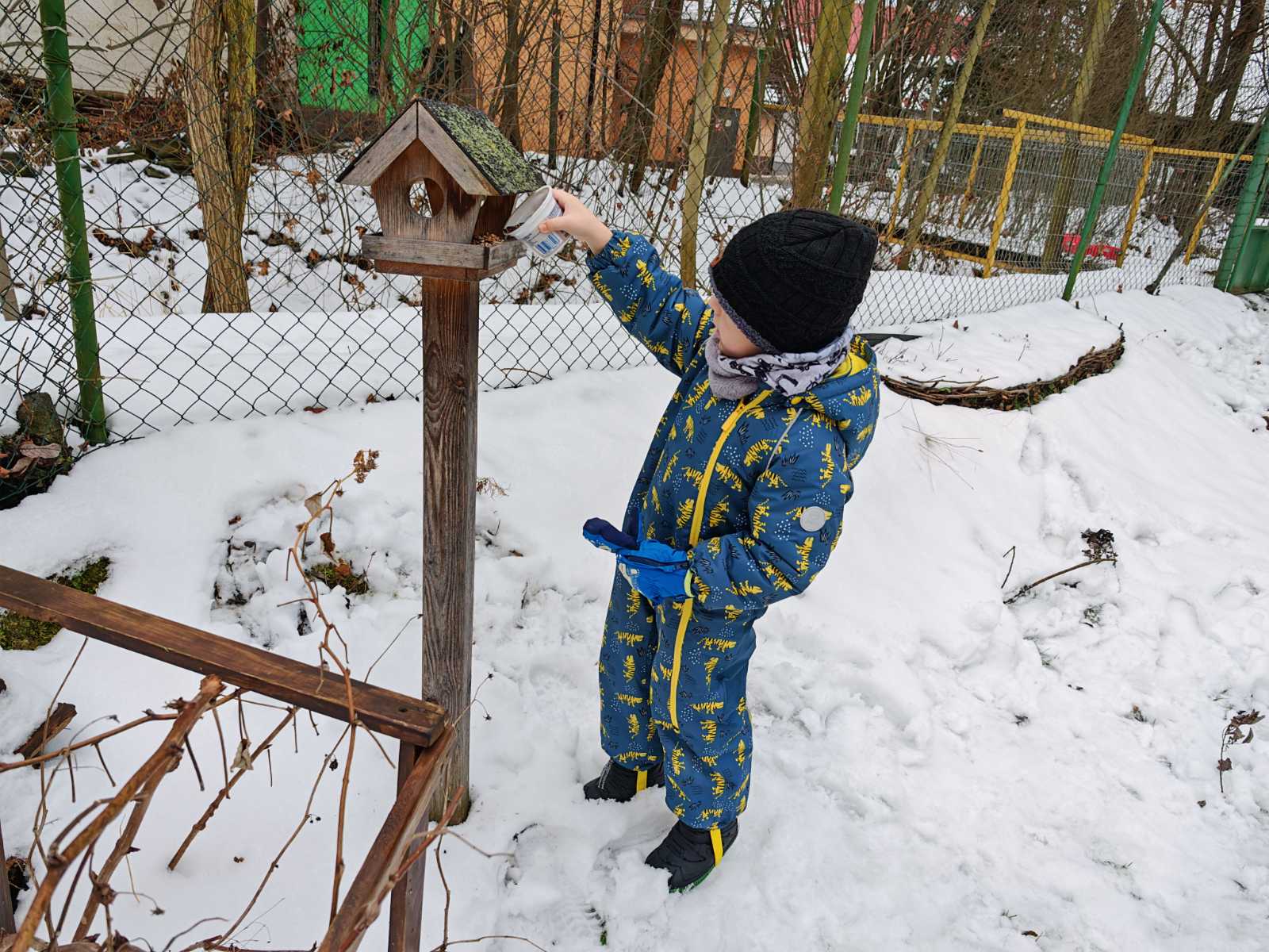 Ptaci-v-zime-5 Ptaci-v-zime-5