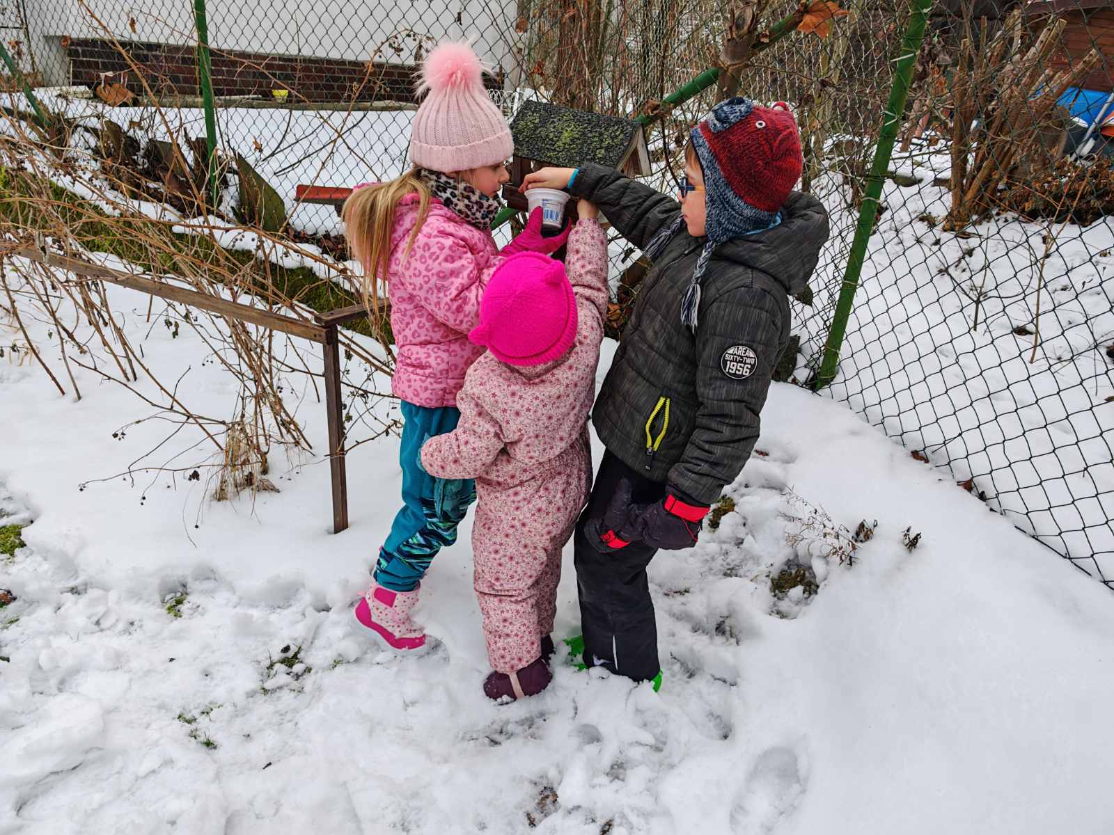 Ptaci-v-zime-6 Ptaci-v-zime-6