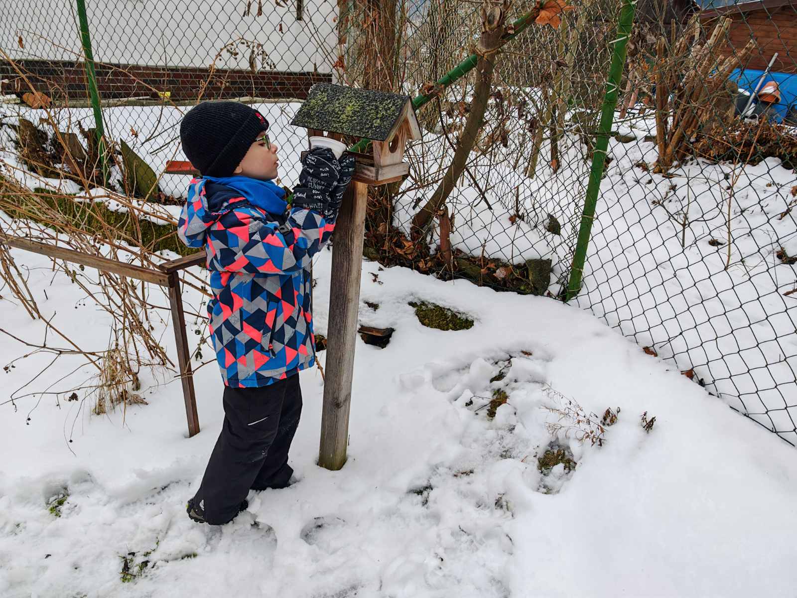 Ptaci-v-zime-7 Ptaci-v-zime-7