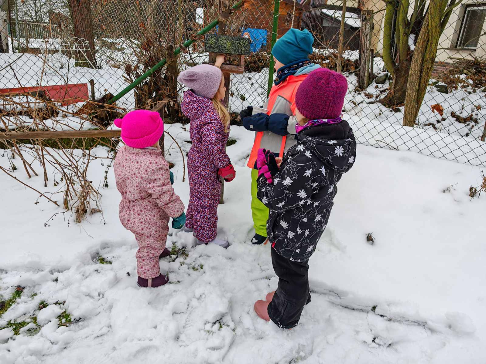 Ptaci-v-zime-8 Ptaci-v-zime-8