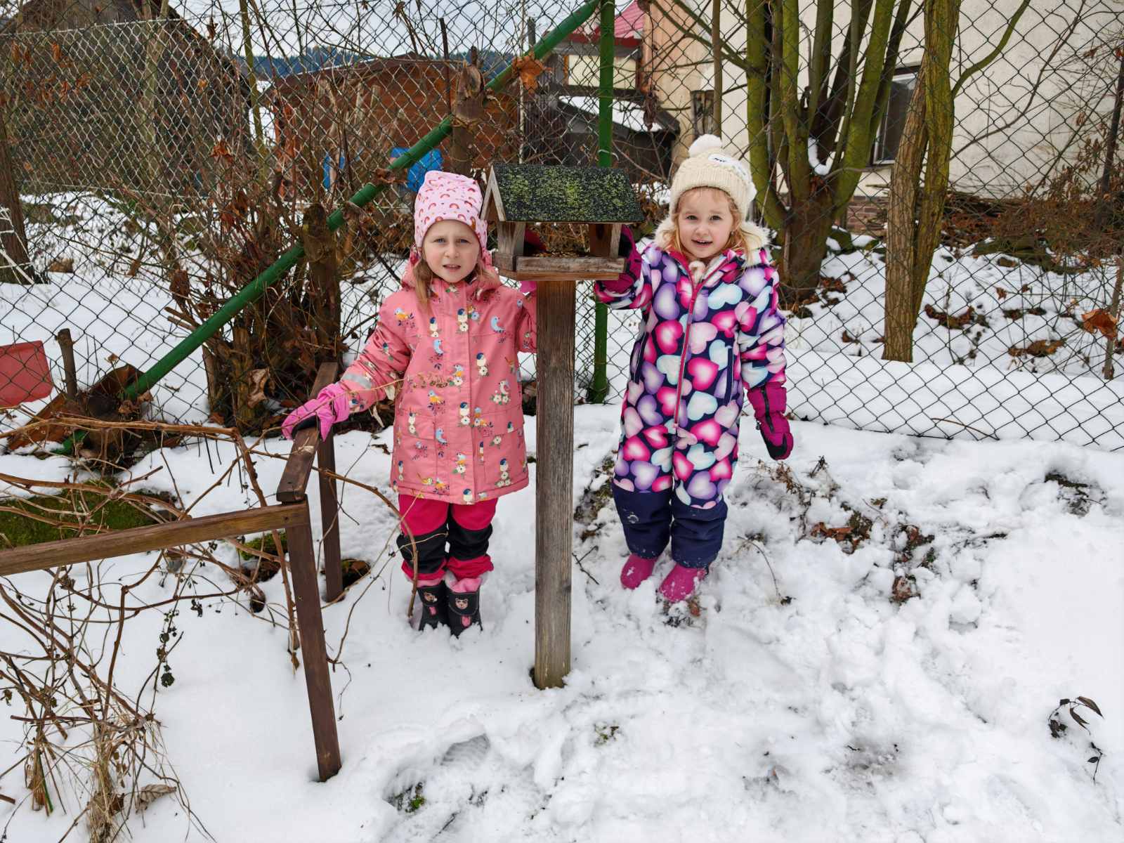 Ptaci-v-zime-9 Ptaci-v-zime-9