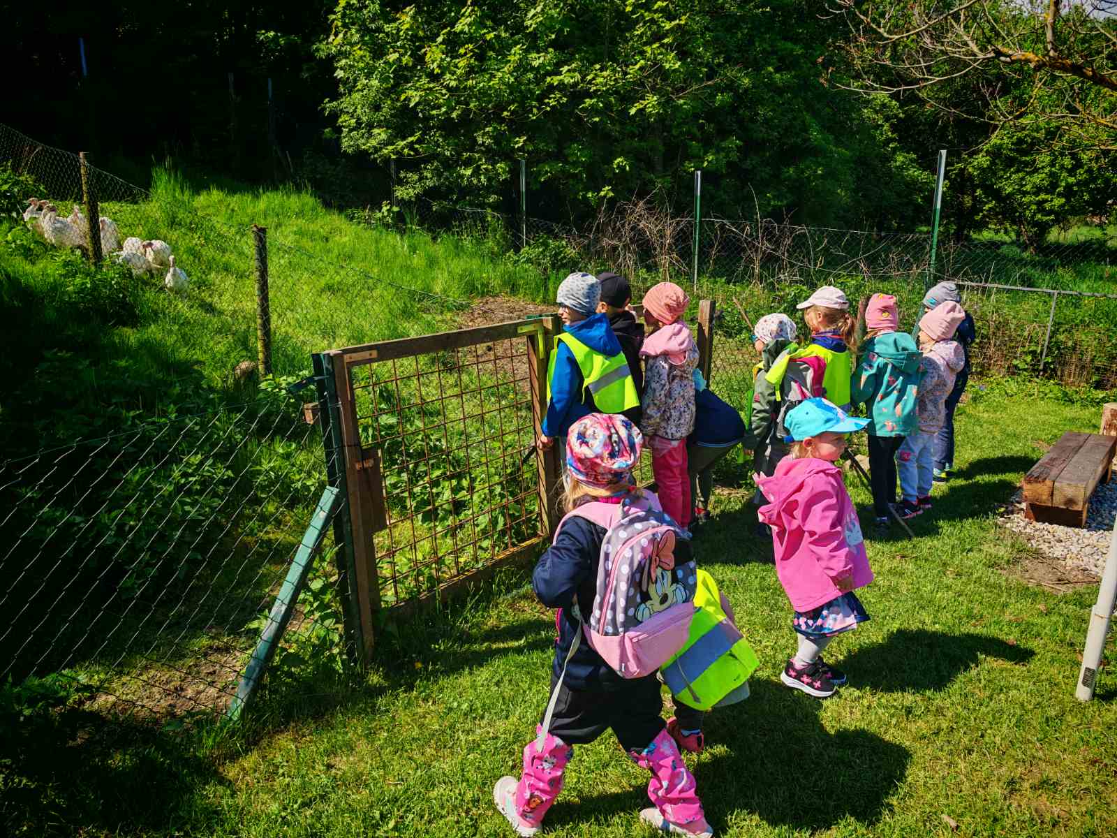 Navsteva-na-male-farmicce-kameniczkych-6 Navsteva-na-male-farmicce-kameniczkych-6