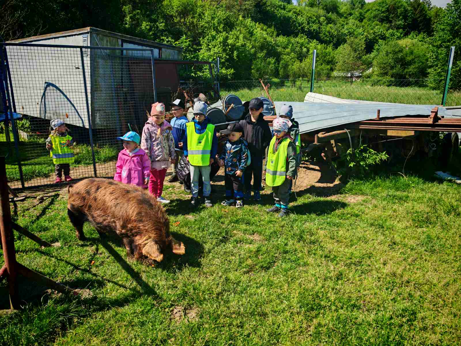 Navsteva-na-male-farmicce-kameniczkych-7 Navsteva-na-male-farmicce-kameniczkych-7